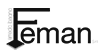 Feman